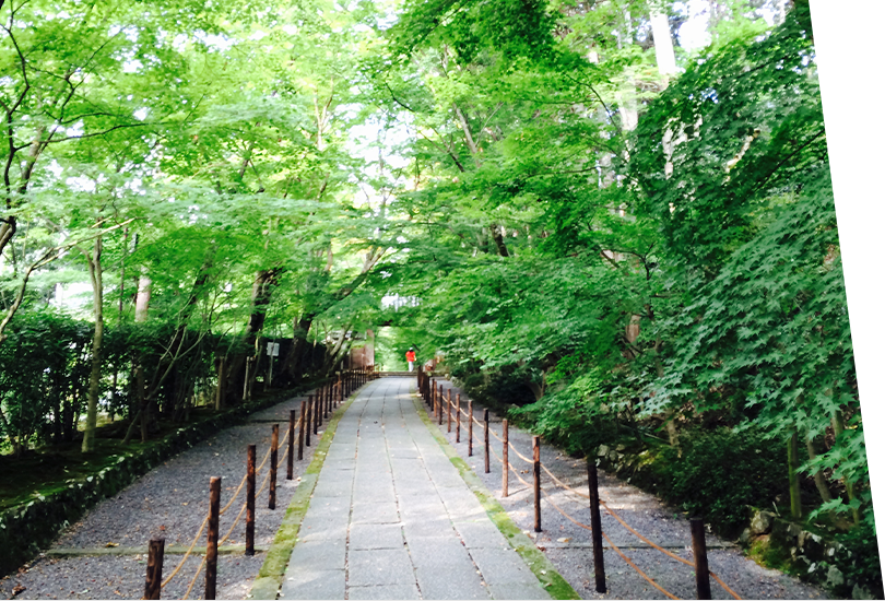 時代を切り開いていく斬新性